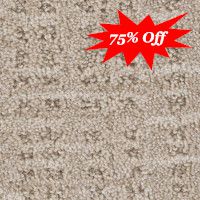 All the Rage Stainmaster Nylon Carpet 75% Off