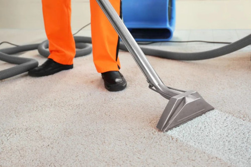 How soon is too soon to clean carpet?