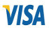 We Accept Visa Credit Cards