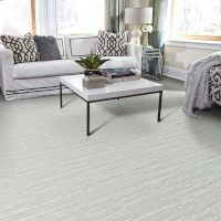 Curb Appeal Stainmaster Nylon Carpet Remant Blow Out Sale