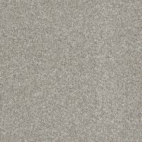 Curb Appeal Stainmaster Nylon Carpet Remant Blow Out Sale